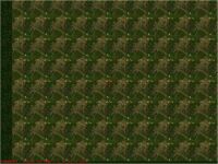 Ma_fs98k.jpg (7524 Byte)